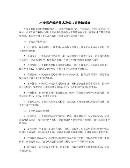 小麦高产栽培技术及病虫害防治措施