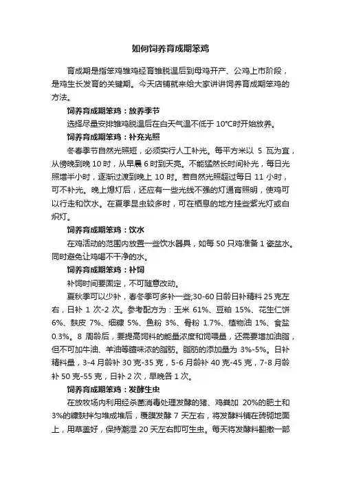 如何饲养育成期笨鸡