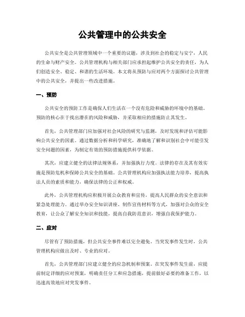 公共管理中的公共安全