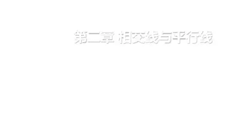 北师大版初中七年级数学下册第二章集体备课教学课件PPT