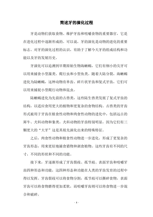 简述牙的演化过程