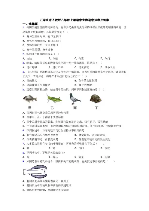 石家庄市人教版八年级上册期中生物期中试卷及答案