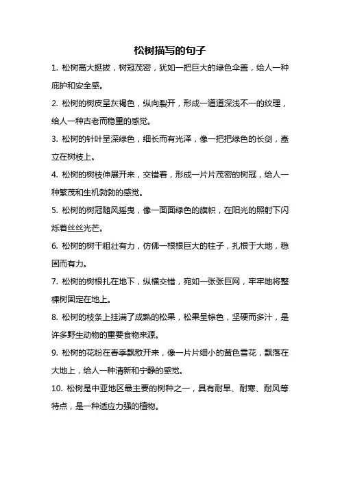 松树描写的句子