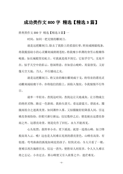 成功类作文800字 【精选3篇】