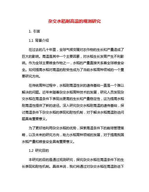 杂交水稻耐高温的观测研究