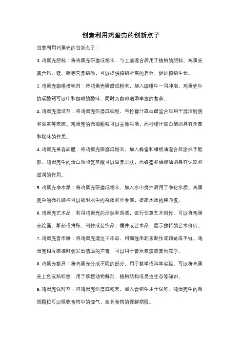 创意利用鸡蛋壳的创新点子