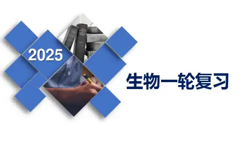 高三一轮复习生物：细胞的增殖课件
