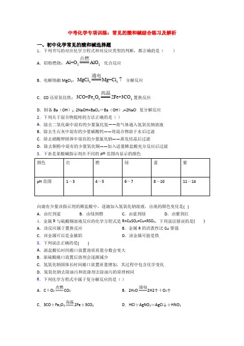 中考化学专项训练：常见的酸和碱综合练习及解析