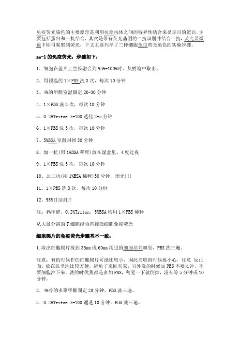 免疫荧光染色实验步骤