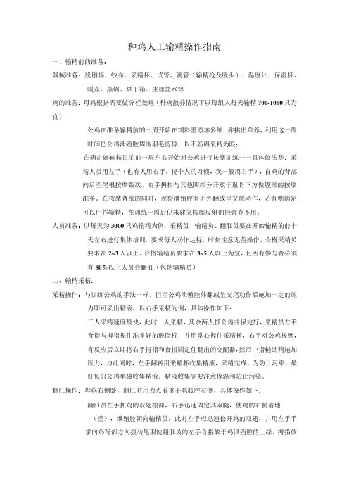种鸡人工输精操作指南
