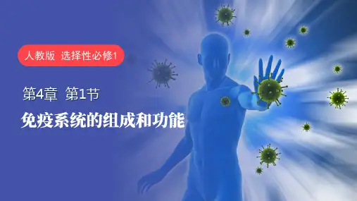 生物人教版(2019)选择性必修1 4.1免疫系统的组成和功能(共24张ppt)