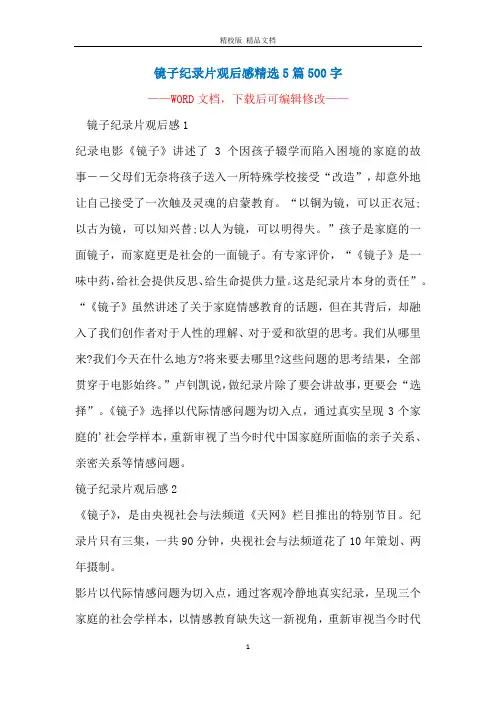 镜子纪录片观后感精选5篇500字