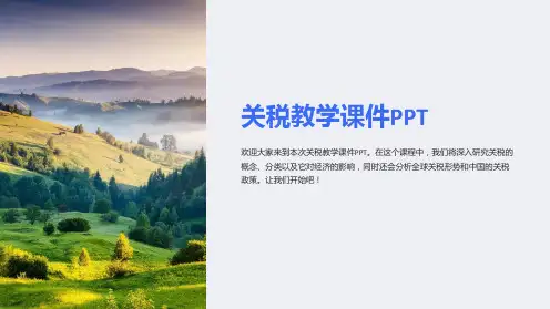关税教学课件