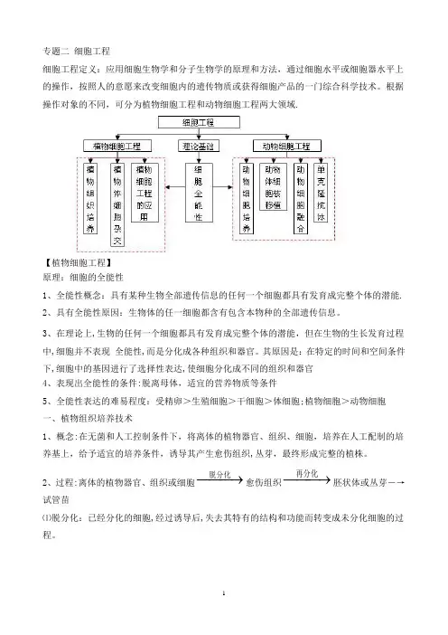 专题二 植物细胞工程知识点