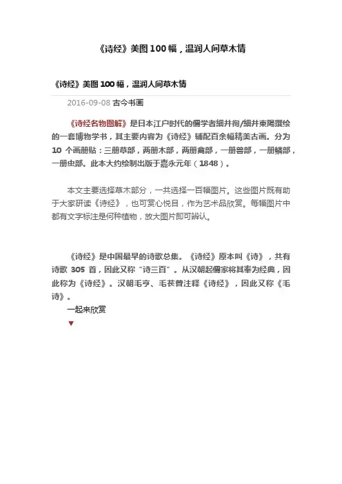 《诗经》美图100幅，温润人间草木情