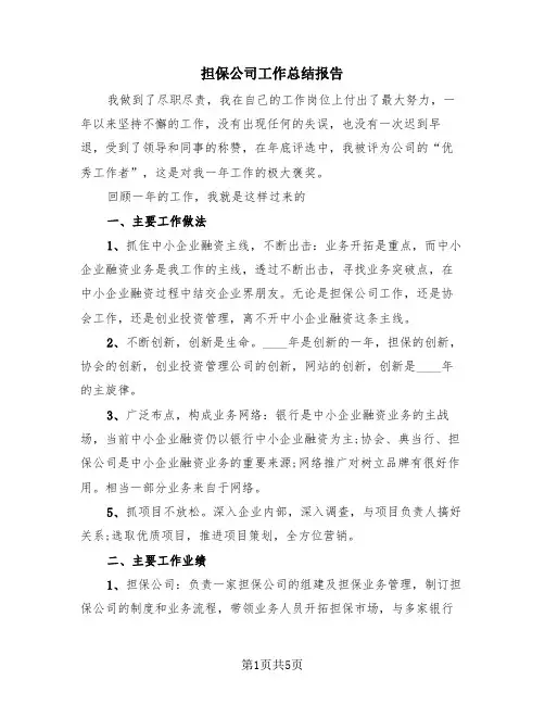 担保公司工作总结报告(2篇)