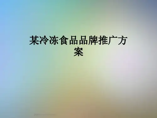某冷冻食品品牌推广方案