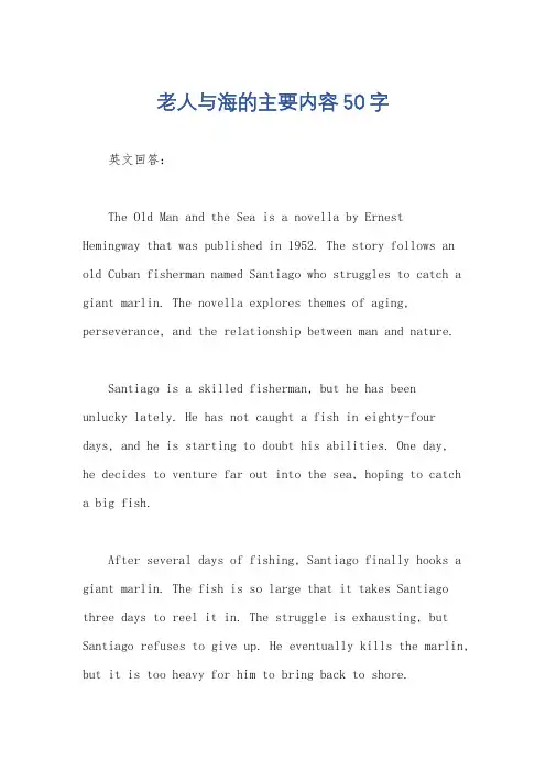 老人与海的主要内容50字
