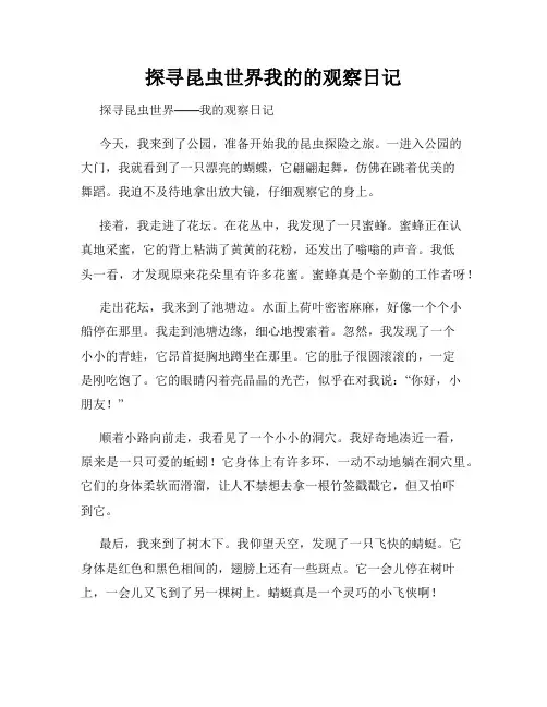 小学三年级作文探寻昆虫世界我的的观察日记