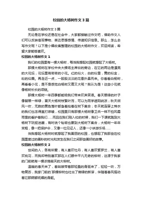 校园的大杨树作文3篇