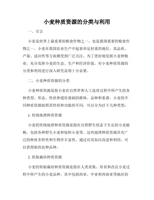 小麦种质资源的分类与利用