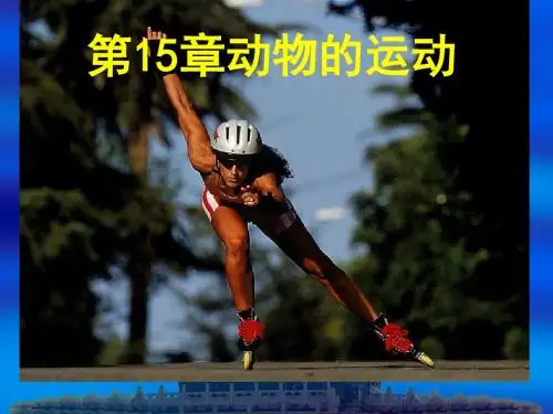 动物运动的形成PPT课件3