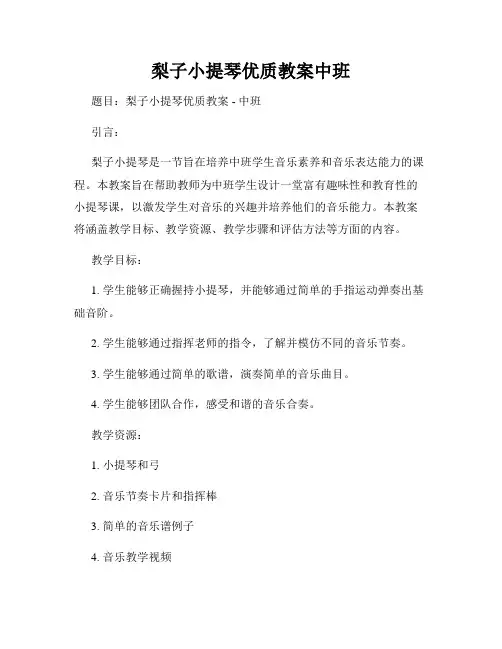 梨子小提琴优质教案中班