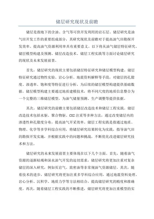 储层研究现状及前瞻