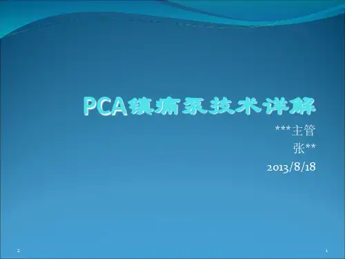 镇痛泵技术最新参考课件