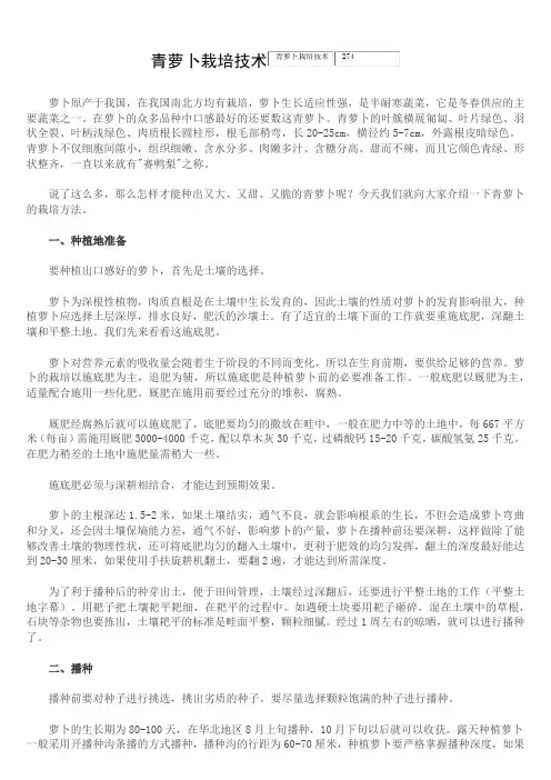 青萝卜栽培技术