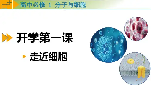 开学第一课(课件)高一生物(人教版2019必修1)