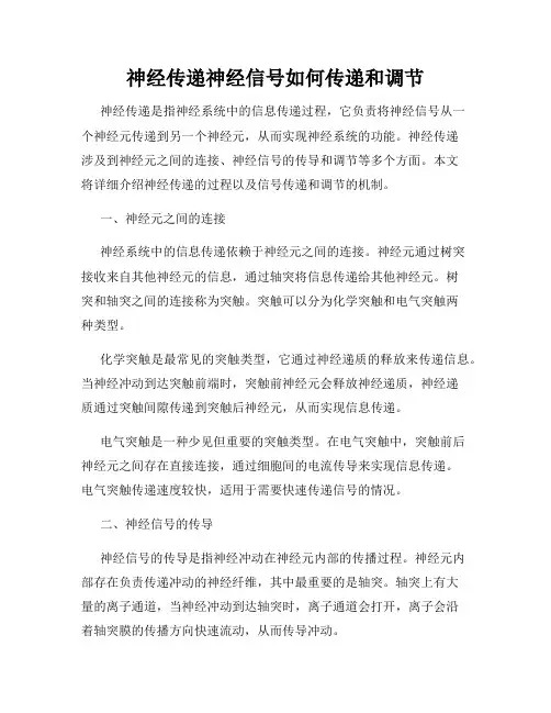 神经传递神经信号如何传递和调节
