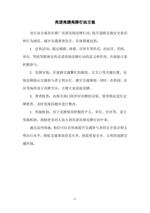 亮诺亮绩亮牌行动方案