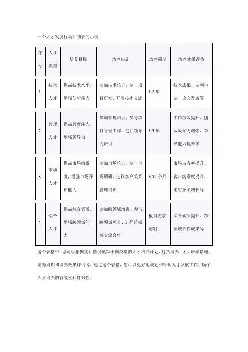 人才发展行动计划表