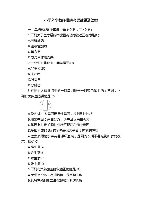 小学科学教师招聘考试试题及答案
