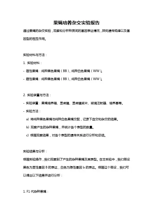 果蝇培养杂交实验报告