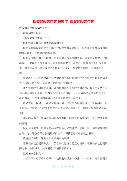 暖暖的阳光作文600字 暖暖的阳光作文