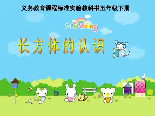长方体的认识ppt课件