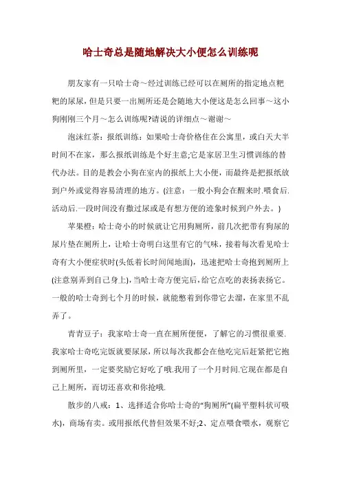 哈士奇总是随地解决大小便怎么训练呢