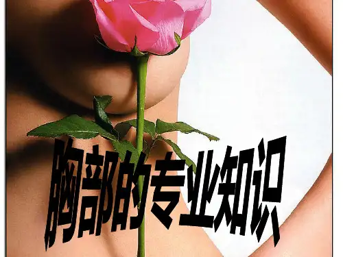 胸部课件. ppt课件