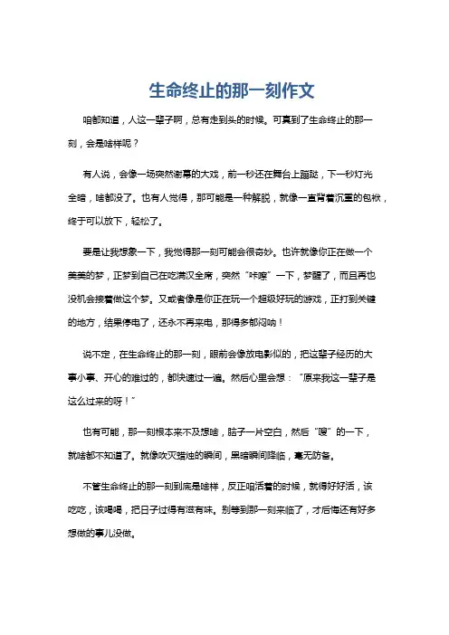 生命终止的那一刻作文