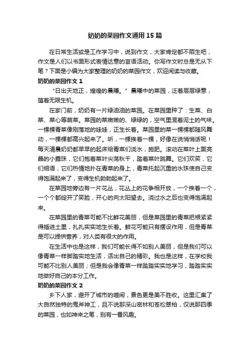 奶奶的菜园作文通用15篇