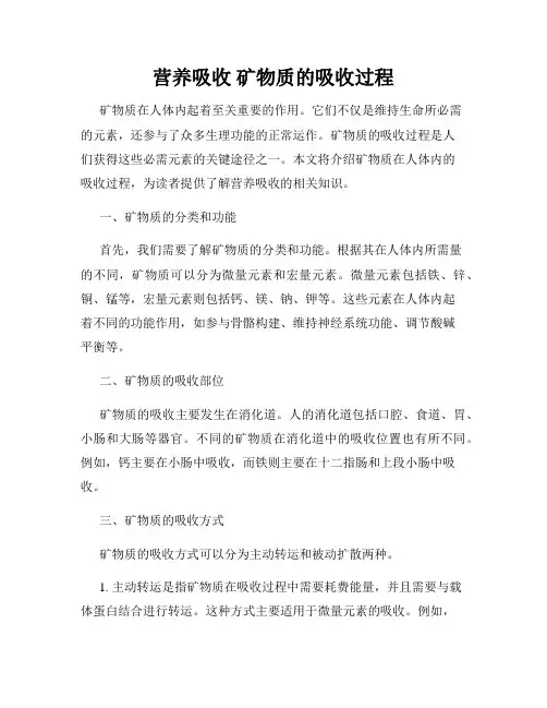 营养吸收 矿物质的吸收过程