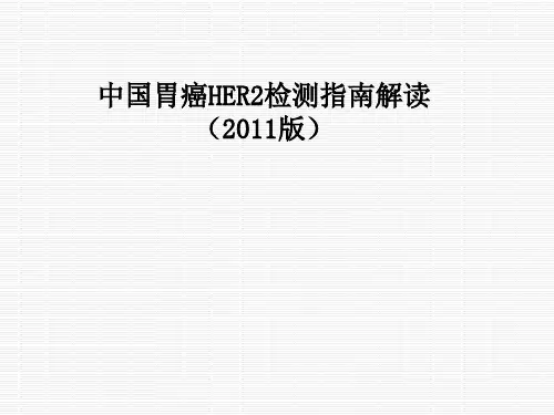 中国胃癌HER2检测-指南解读