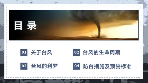 台风来了预警知识普及PPT专题演示