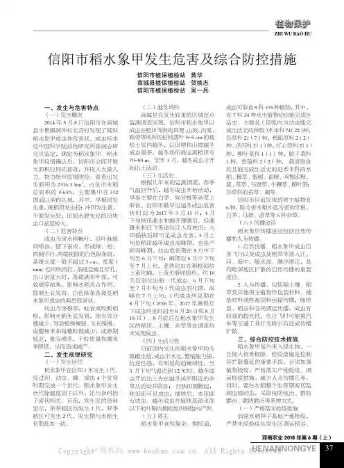 信阳市稻水象甲发生危害及综合防控措施