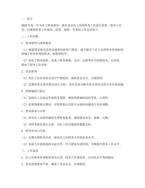 社工财务督导工作总结报告