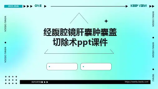 经腹腔镜肝囊肿囊盖切除术ppt课件