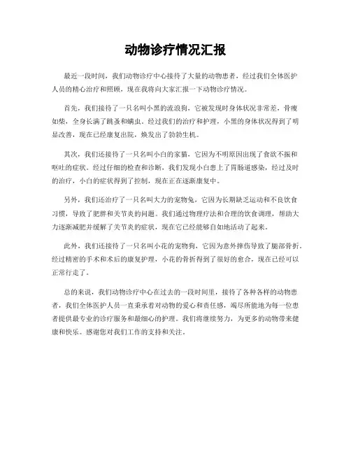 动物诊疗情况汇报