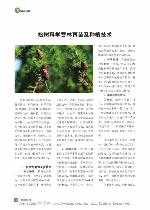 松树科学营林育苗及种植技术